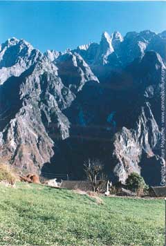 Ban Wan Guest House:  2300 metres high and climbing.