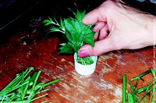 A tray is placed over the clones to hold in moisture.
