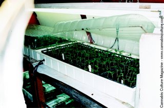 Tray is placed in larger holding tray. Metal grill keeps it above the 1.5 inch water level.