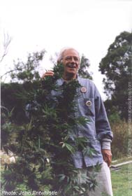 1st place: 4 Ways Nimbin Natural