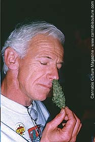 2nd place: Bitchin Bud