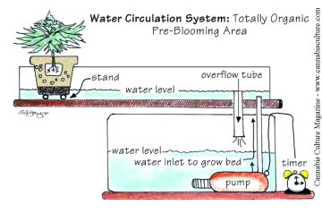 Diagram by Sijay