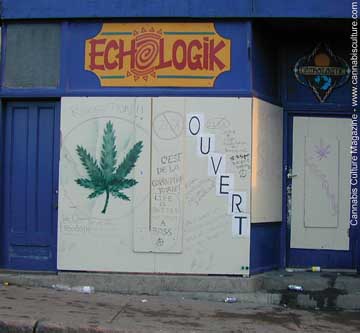 Hemp shop Echologik stayed open but still boarded up to deters looters.