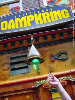 The Dampkring store front