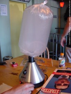 Volcano bag ready to erupt