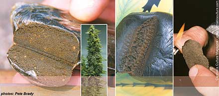 l to r: Indian Black, Nepalese Temple Ball, Bubblehash