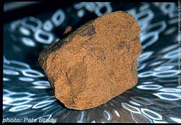 A half-kilo of Moroccan.