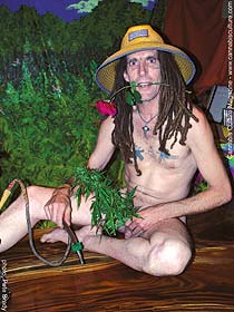 Budstuds:...