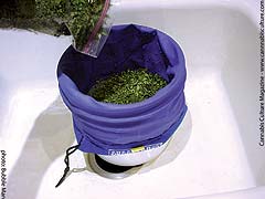 Use the bubble bag with the largest pore size (220 microns) to start