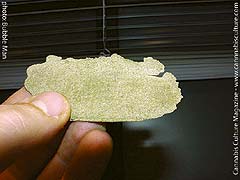 Water hash comes in many colors?