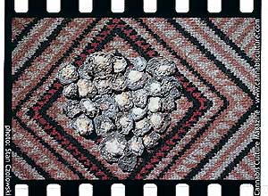 Dried Peyote buttons may be ground and made into potent tincture solutions.