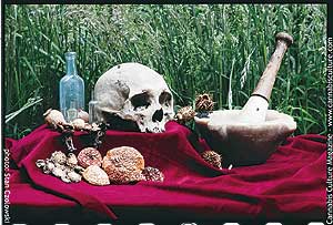 Making tinctures the old-fashioned way, in the witch`s kitchen.
