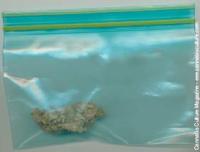Ziploc Baggies