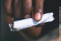 Fat Joints