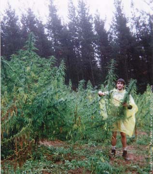 Spains first legal plantation in the Basque country with Kalamudia activist