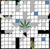 Crossword from CC55