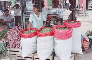Woman sells kilo bags of coca leaves