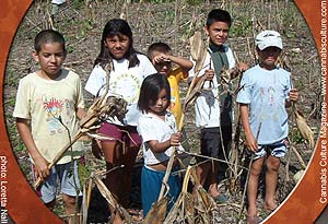 Columbian children with dead legal crops
