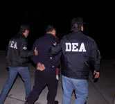 DEA arrests keep going up