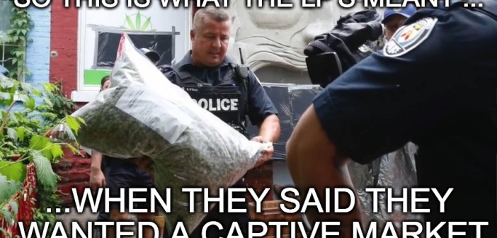 Cannabis Day