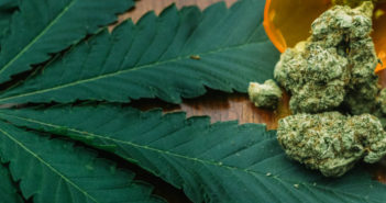 Marijuana News