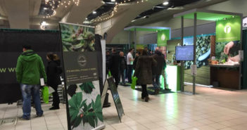 Marijuana canada