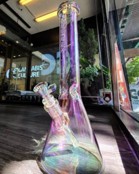 Cannabis Culture Store