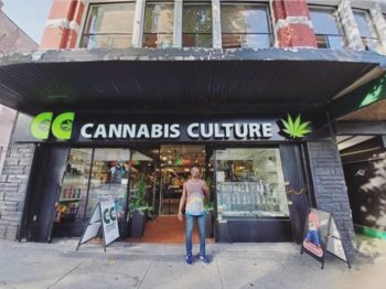 Cannabis Culture World Famous Headshop
