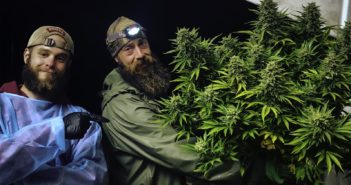 Rosebud Cannabis Farms owner Che’ LeBlanc poses with his strain, Sarah’s Secret, with friend and helper Gage Walton on the left.