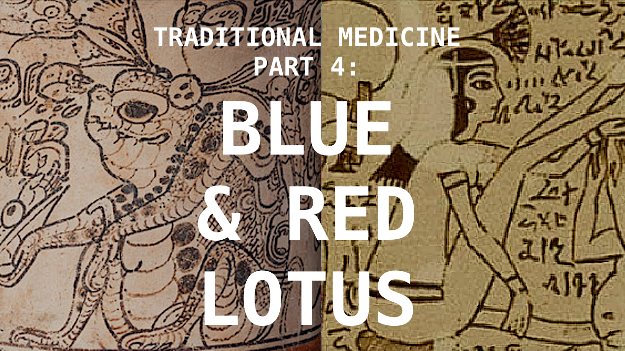 Traditional Medicine Part 4: Blue Lotus & Red Lotus | Cannabis Culture